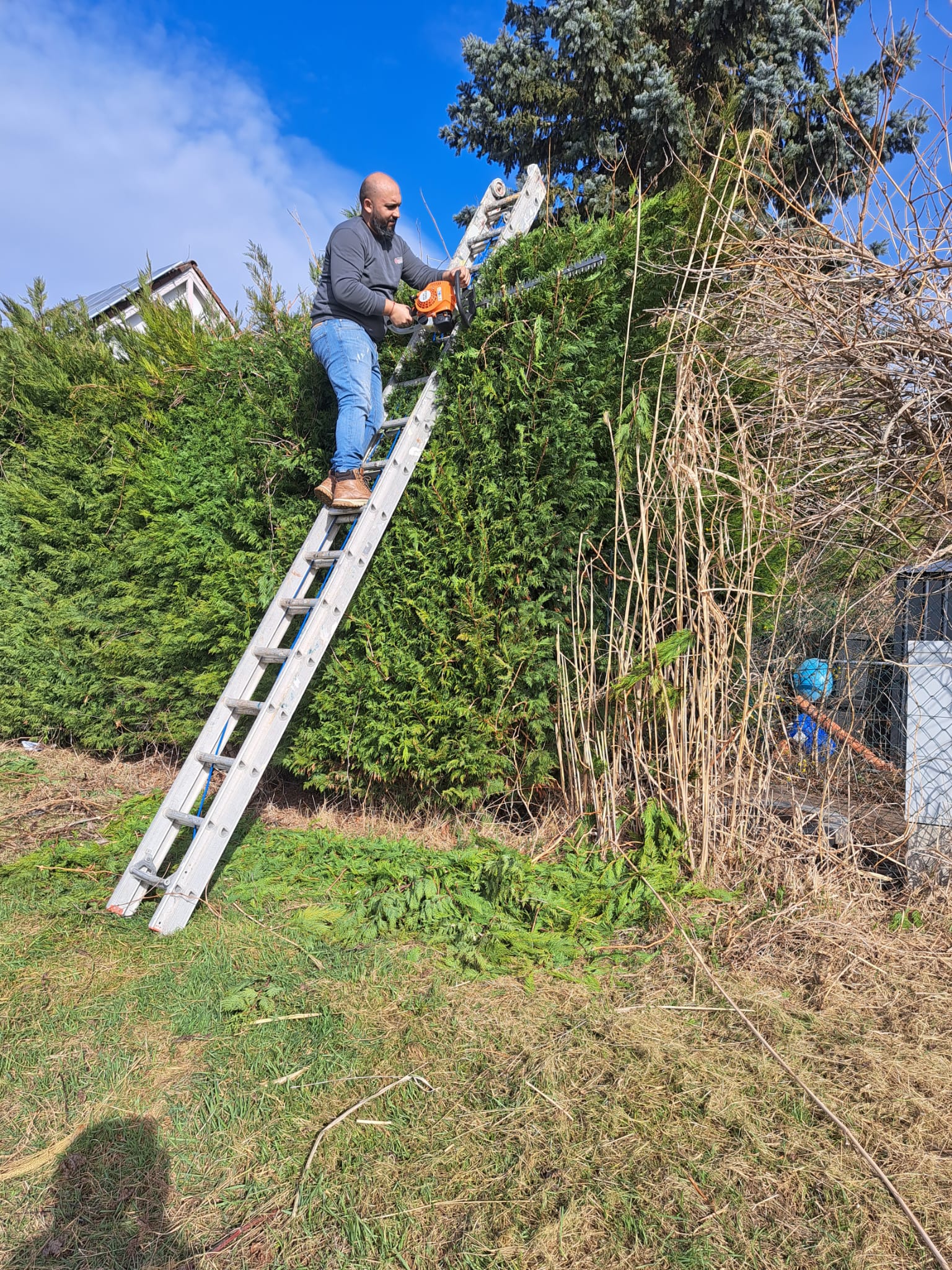 Gartenräumung Wien durch DTF – Bild 10