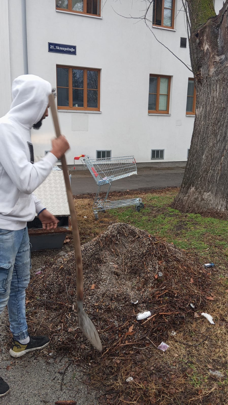 Keller voll? DTF räumt effizient in Wien – Bild 12
