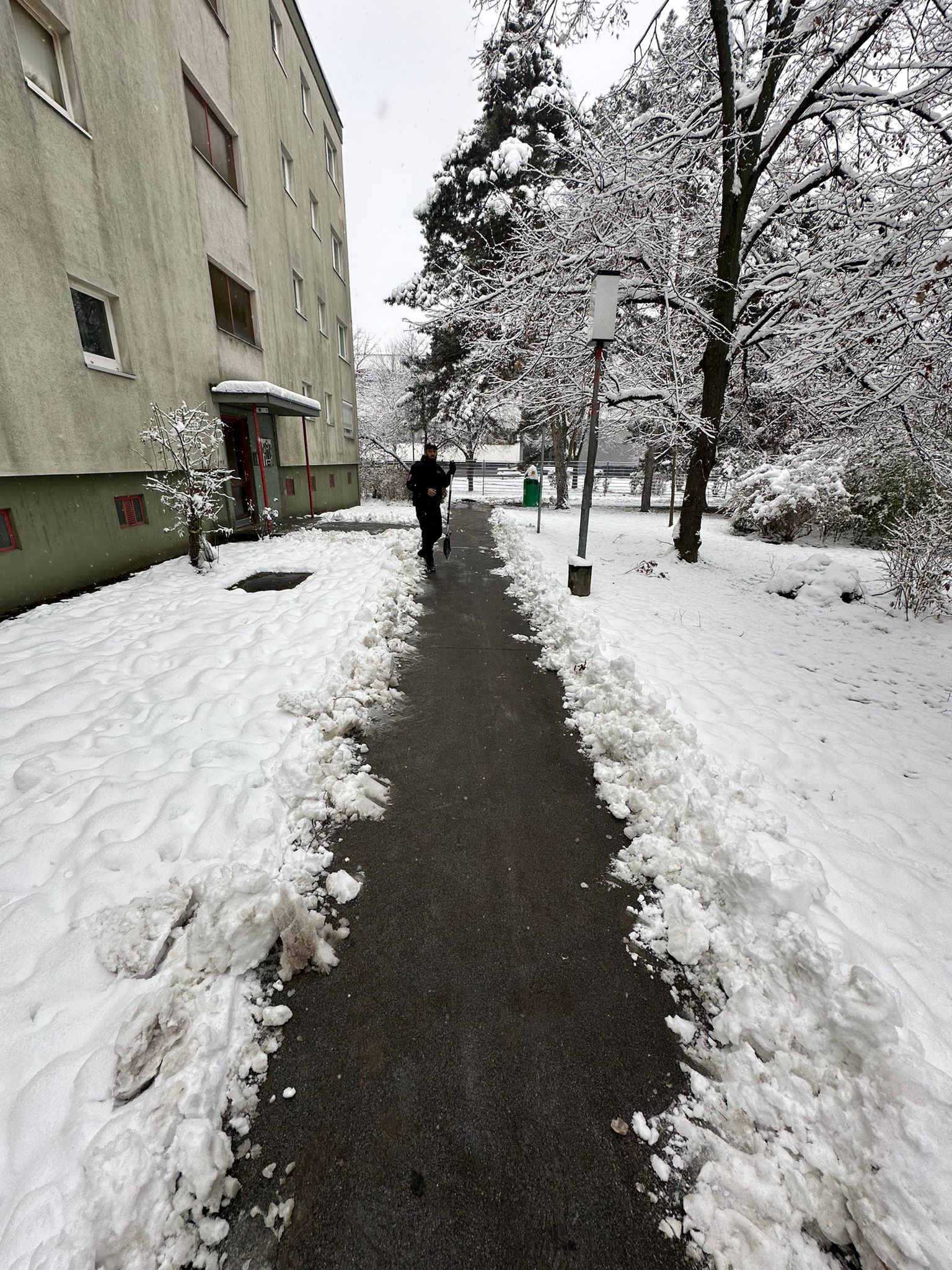 Messie-Haushalt Wien geräumt – Bild 15 zeigt vorher-nachher Effekt