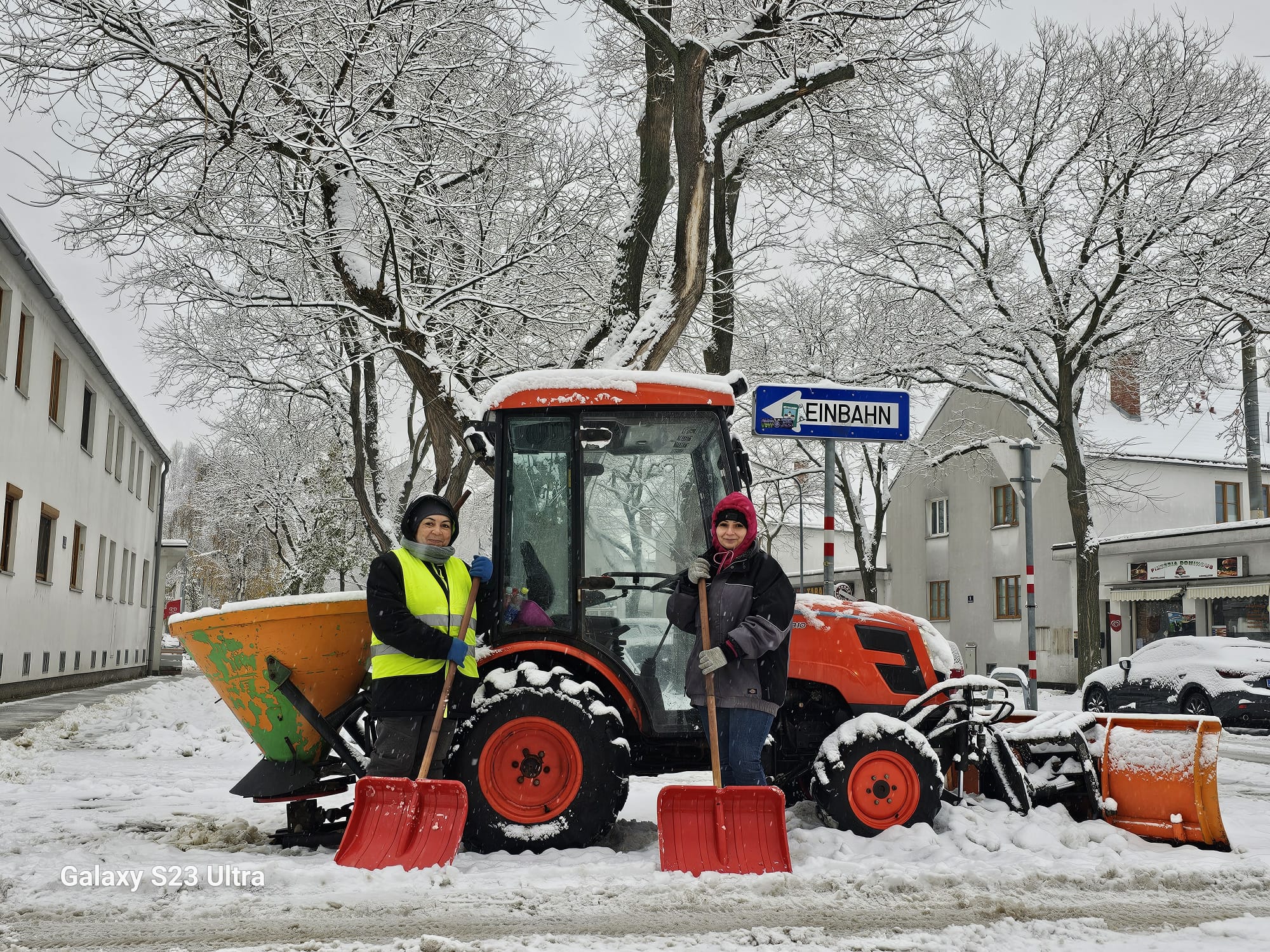 Garten Service Wien von DTF – Bild 17: Natur trifft Ordnung