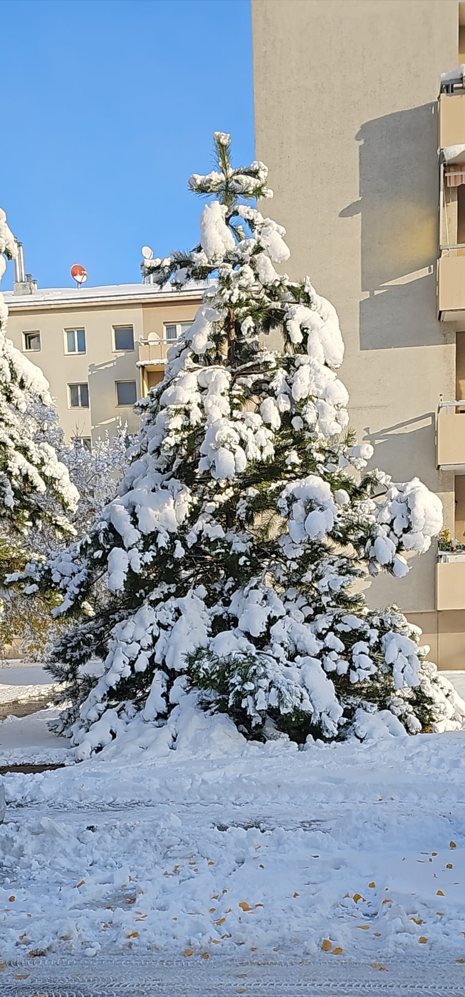 Winterdienst Wien – DTF räumt und streut zuverlässig – Bild 18