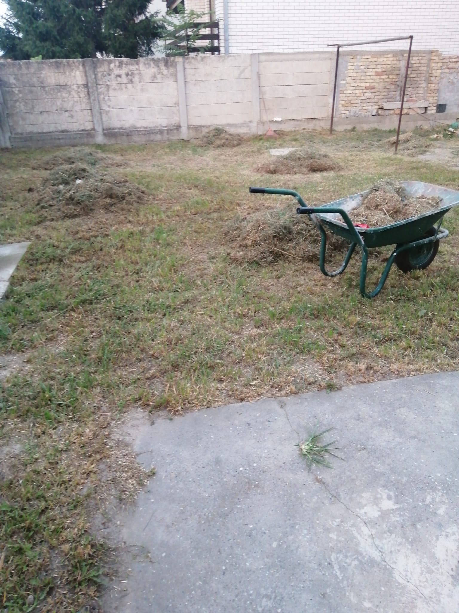 Gartenservice Wien – DTF sorgt für Ordnung – Bild 22